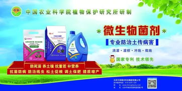 中国农科院植保所土传病害防治专家助力中保集团微生物菌剂技术推广