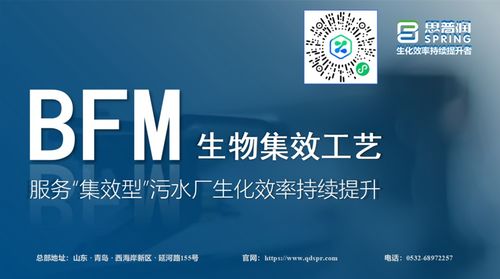 思普润BFM生物集效工艺 赋能集效型污水厂，驱动生化效率的持续跃升