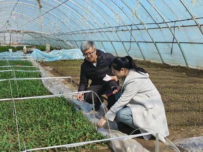 科技增粮助春耕 省农科院生物技术所专家团精准服务肇源县春季生产
